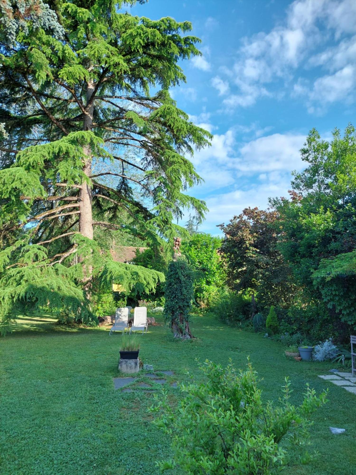 Rue Du Chateau Lalinde エクステリア 写真